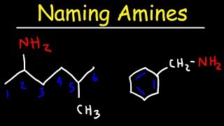 Naming Amines  IUPAC Nomenclature amp Common Names [upl. by Thordia196]