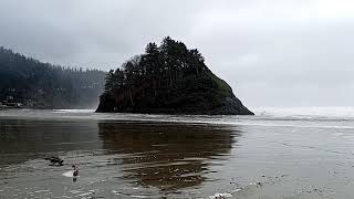 King Tide sneaker wave Neskowin Oregon 1102021 [upl. by Refinnej]