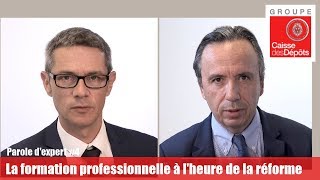 La formation professionnelle à lheure de la réforme  parole dexperts [upl. by Meras]