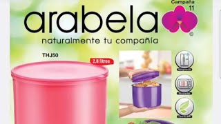 Catalogo Arabela campaña 11 2024 [upl. by Dickey56]