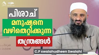 പിശാച് മനുഷ്യനെ വഴിതെറ്റിക്കുന്ന തന്ത്രങ്ങൾ  CP Swalahudheen Swalahi  Short Clip 120 [upl. by Kirstyn43]