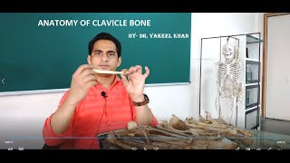 ANATOMY OF CLAVICLE BONE IN HINDI  FEATURES MUSCLE ATTACHMENT AND SIDE DETERMINATION OF CLAVICLE [upl. by Anitteb]