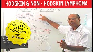 Hodgkins vs Non Hodgkins Lymphoma  Pathology🩺 [upl. by Teresina]