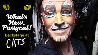 Episode 13  Whats New Pussycat Backstage at CATS with Tyler Hanes [upl. by Bayless462]