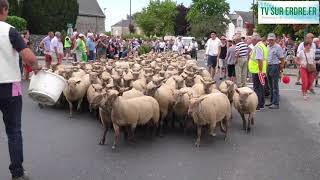 Fête du mouton de Ligné 2017 [upl. by Mccallion]