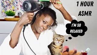 Relaxing Hair Dryer Sound  My Cat Relaxes with Me [upl. by Eiderf996]