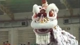 2007 Kun Seng Keng KSK Lion Dance  MALAYSIA 马来西亚关圣宫醒狮团冠军 [upl. by Shushan]