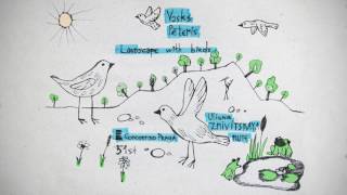 Peteris VASKS Landscape with Birds for flute solo [upl. by Bernhard36]