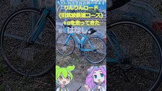 2017model BIANCHI VIA NIRONE7 pro soraでりんりんロード旧筑波鉄道コース＋αを走ってきたはなし。しょーとver20241016 2037 [upl. by Arty]