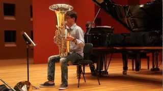 Barbara York  Tuba Concerto  1st movt [upl. by Ynahpit]