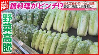 【お鍋が心配】葉物野菜を中心に野菜が値上がり 今のお手頃野菜は [upl. by Nahtnhoj58]