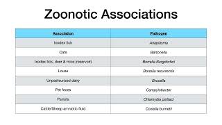 Microbiology Buzzwords amp Associations [upl. by Kirit601]