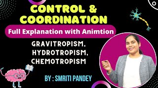 8 Gravitropism Hydrotropism Chemotropism in plants  Control amp coordination  Class 10 Biology [upl. by Nahamas]