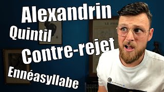 Analyser une Poésie  avec le bon vocabulaire [upl. by Derwood]