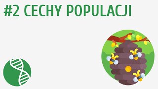 Cechy populacji 2  Ekologia [upl. by Nesiaj485]