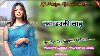 NewCgSong2024NawaDaukiLahuCgDjRemixSong2024CgDjDankaTaporiMixSong [upl. by Iak698]