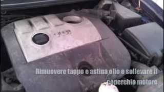 Tagliando completo su Seat Ibiza con motore quotAMFquot 14 TDI 55KW VW Complete Service [upl. by Roumell716]