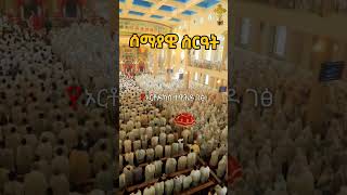 Orthodox Tewahdo ኦርቶዶክስ ተዋሕዶ ለዘልአለም ፀንታ እና ተከብራ ትኑርኦርቶዶክስ ኦርቶዶክስመዝሙር ተዋህዶ ኢትዮጵያ ቤተክርስቲያን [upl. by Rudin]