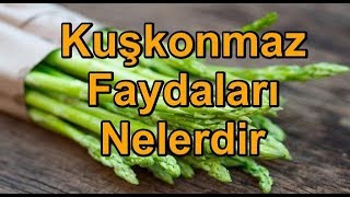 Kuşkonmaz Faydaları Nelerdir [upl. by Elwee]