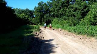 Horseback Riding Dallas Texas Trinity River Joppa Preserve [upl. by Nosirrah938]