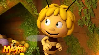 The lice are in the hive  Maya the Bee🐝🍯🐝 [upl. by Rettke]