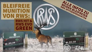 Warum bleifreie Munition Wir zeigen euch die Unterschiede zwischen RWS HIT und RWS EVO Green [upl. by Avivah]