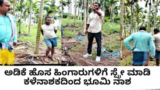 ಅಡಿಕೆಯಲ್ಲಿ ಕಳೆನಾಶಕ ಬಳಸ ಬೇಡಿ Stop using herbicide in Arecanut Pragyankrishi [upl. by Audley633]