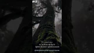 surah ar rad سورة الرعد  Abdelbasset Abdessamadعبدالباسط عبد الصمد  quran allah sourate deen [upl. by Alieka666]