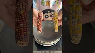 Make popcorn with a whole corn cobpopcorn asmr [upl. by Nrehtac724]