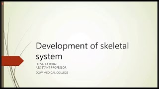 Development of Skeletal System  Embryology [upl. by Nancey]