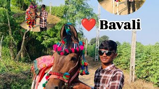 Bavali ni moj  Bavali 🐎  Bhaliya Hiten Chitrasar [upl. by Mallen47]