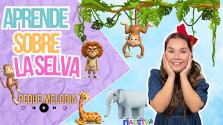 Animales de la Selva Aprende Cancion Infantil I Nursery Rhyme [upl. by Nivlek]