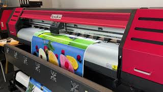 i3200 Eco Solvent Printer with Single  Double Head Options [upl. by Nell]