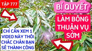 TẬP 777 BÍ QUYẾT LÀM BÔNG THUẬN VỤ SỚM CHỈ CẦN XEM 1 VIDEO NÀY THÔI CHẮC CHẮN BẠN SẼ THÀNH CÔNG [upl. by Hayley481]