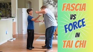 Fascia vs Force Tai Chis Hidden Secret Power Explained [upl. by Burty]