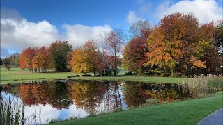 Fall foliage with Mindi [upl. by Euqinotna615]