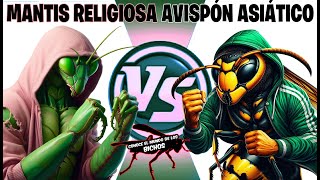 MANTIS RELIGIOSA VS AVISPÓN ASIÁTICO [upl. by Allen374]