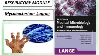 Respiratory microbiology mycobacterium laprae leprosy levinson bacteria microbiology [upl. by Sivad185]