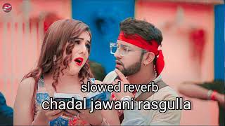 chadhal jawani rasgulla slowed reverb viral song [upl. by Adnorahc]