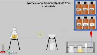 Synthesis of pBromo acetanilide from Acetanilide [upl. by Lansing]