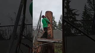 Spirit Face Carving on Side of Cliff 18ft Wood Spirit Carving [upl. by Aihsetal]