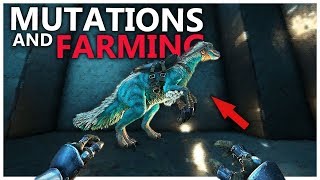 SO MANY THERI MUTATIONS  SMALL TRIBES S4E10  Ark Survival Evolved [upl. by Staal]