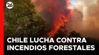 CHILE  Bomberos luchan contra incendios forestales [upl. by Philender]