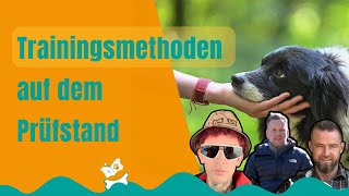 Entdecke die Geheimnisse des Hundetrainings Trainingsmethoden enthülltquot [upl. by Sarajane]