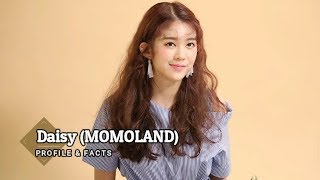 MOMOLAND Daisy Profile and Facts KPOP [upl. by Koenraad865]