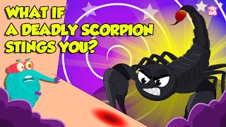 How Does Scorpion Sting  Scorpion Venom Effects  Most Deadliest Scorpions  Dr Binocs Show [upl. by Ztnarf]