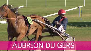 Bienvenue à Elitloppet Aubrion du Gers [upl. by Berger202]