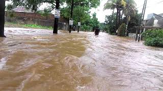 Banjir di jlsakura blok F cinere megapolitan depok [upl. by Lydell]