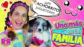 UNO MÁS en la FAMILA 🐶 TAG de la MASCOTA NUEVO MIEMBRO revoltoso 🐕 Perritos cachorros YOUTUBERS [upl. by Llaccm]