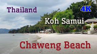 Exploring Koh Samuis Hidden Gems A Walking Tour of Chaweng Beachkohsamui chawengbeach [upl. by Eibur721]